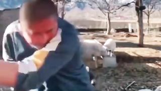 This man stepped back and hit the goat behind him and danced around then the goat got angry and butted the man