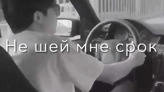 Shokh