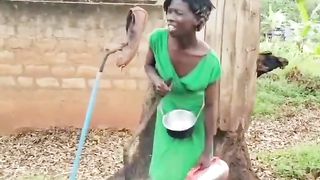 So funny videos 3