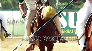 Horse lovEr75#horse #horsesofviral f #fyp #foryou#