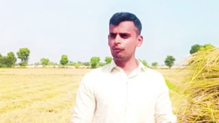 پرالی جانوروں کو کھلایں یا نہیں