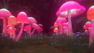 Animation 26