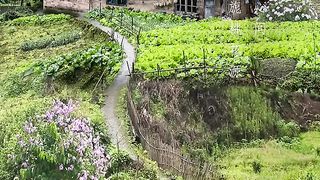 Natural video 62