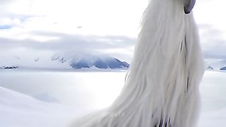 Человек птица ????????????????????????