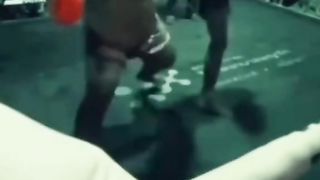 Boxing 8