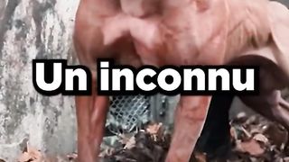 Le Mystère Du Pitbul