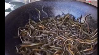 Memberi makan ikan aneh