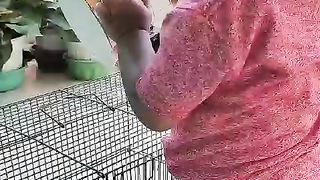 elza story - my little chicken