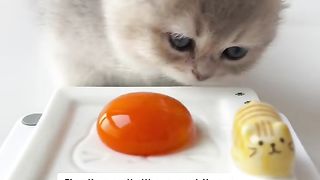 Dining time