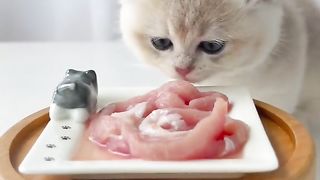 Dining time 2