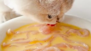 Dining time 3