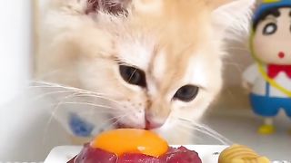 Dining time 6