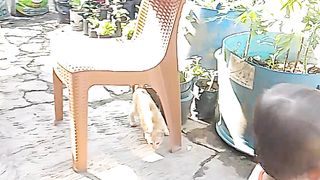 elza story - my cay and I play game