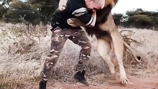 Poids lourd du Lion???? abonne toi stp ???????????? merci