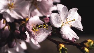 Ghareeb Aadmi ko Qarz ki Zrurt __ Allah pr Yaqeen or Tawakal Ka Waqiya