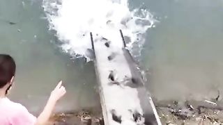 Poisson