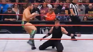 WWE реслинг 312