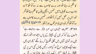 اسلامی معلومات 383
