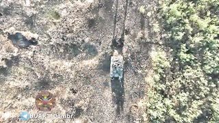 Ukraine Russia War | Ukrainian Drone Strikes T-80 Tank Hatch | Explosive Outcome | RCF