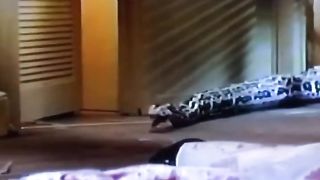Musical | Anaconda's Demands: "My Anaconda Don't Want None Unless You Got Guns, Hun" | Me | FunFM