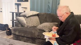 Family Visit | When Parents Come: Cat's Unhappy Days | FelineDrama | FunFM