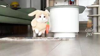 Funny Animals 38