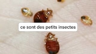 Le MK2 a affirmé « inspecter continuellement ses salles »