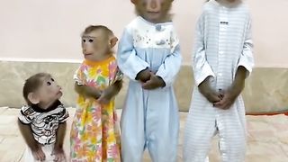 Animals 56