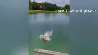 Funniest Dogs And Cats Videos ???? - Best Funny Animals Videos 2023