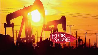 Flor salvaje 140