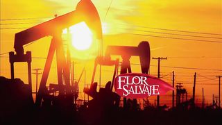 Flor salvaje 144