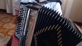Apreciem como esta rapariga toca bem a concertina.