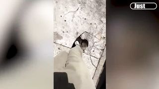 video funny 46
