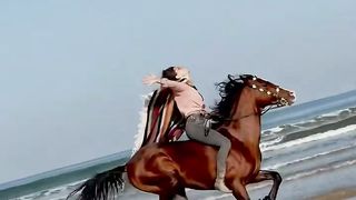 GALLOP ON THE BEACH.