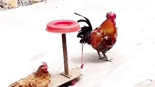 Funy video 11