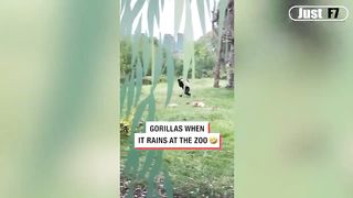 video funny part 48