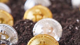 "The History of Bitcoin: From Whitepaper to Global Phenomenon"