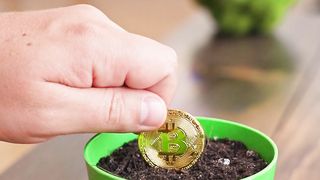 "Bitcoin Wallets: How to Keep Your Cryptocurrency Safe"