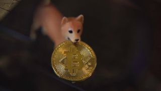 "Investor Interviews: Success Stories in Bitcoin"