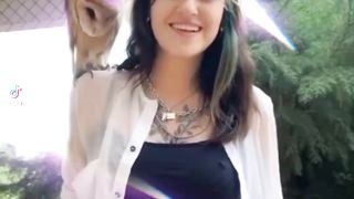The owl joins Tiktok dancing partner