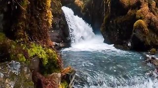 Natural video 65