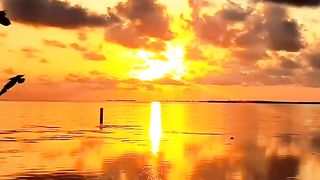 Natural video 66