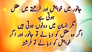 Hazrat Ali Ke Aqwal | Hazrat Ali Quotes In Urdu | Aqwal e Zareen