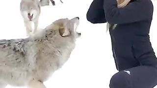 Wolves