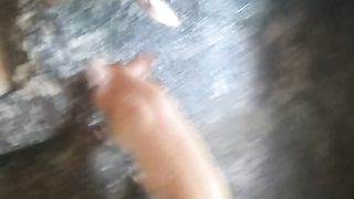 Pigggg???