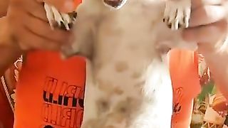Good dog 7