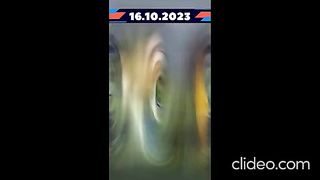 ЧЕСТНО НЮЗ/ НОВИНИ