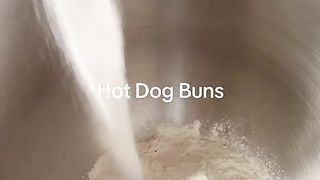 Dog Buns