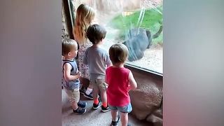 TRY NOT TO LAUGH CHALLENGE #1- Baby Shark Doo Doo 3
