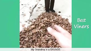 Try Not To Laugh or Grin While Watching Ross Smith Grandma Instagram Videos - Best Viners 2017